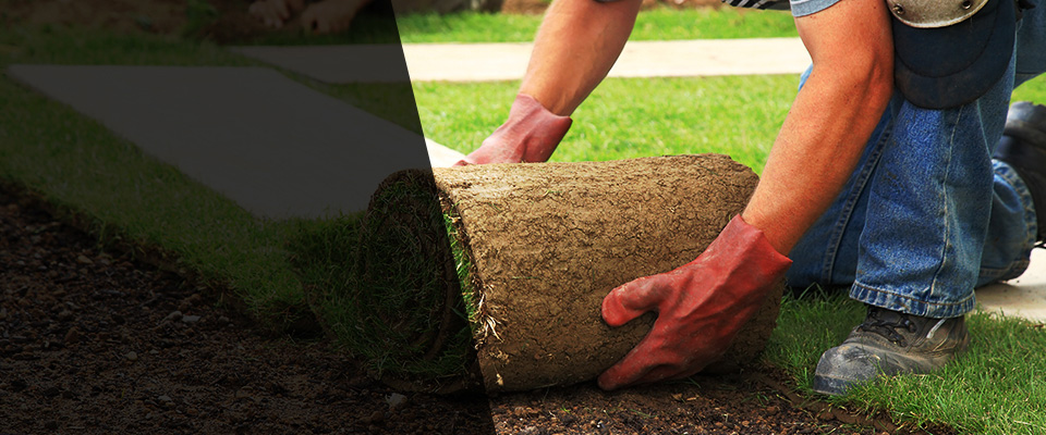 Balaton Landscapers